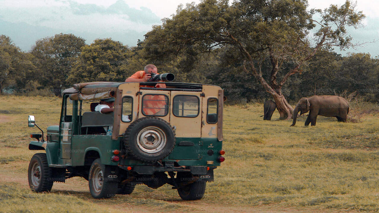 Safari from Kalutara