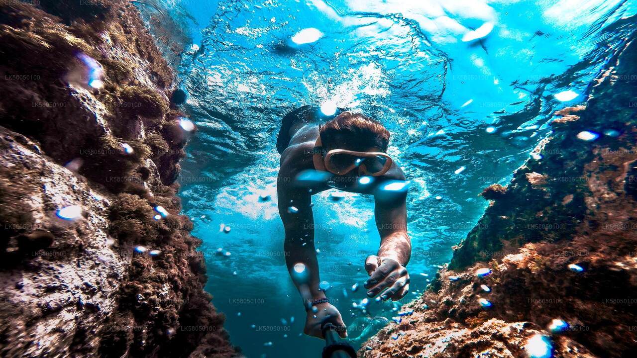 Snorkeling from Unawatuna