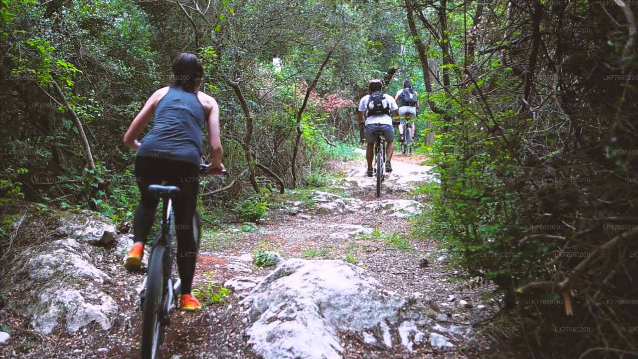 Cycling from Mount Lavinia