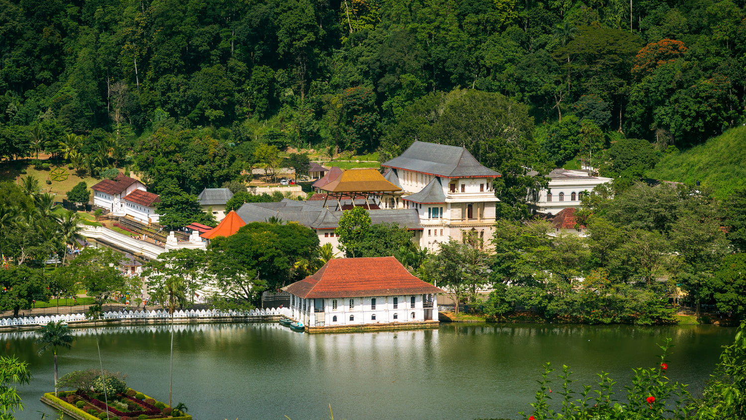 Activities from Kandy