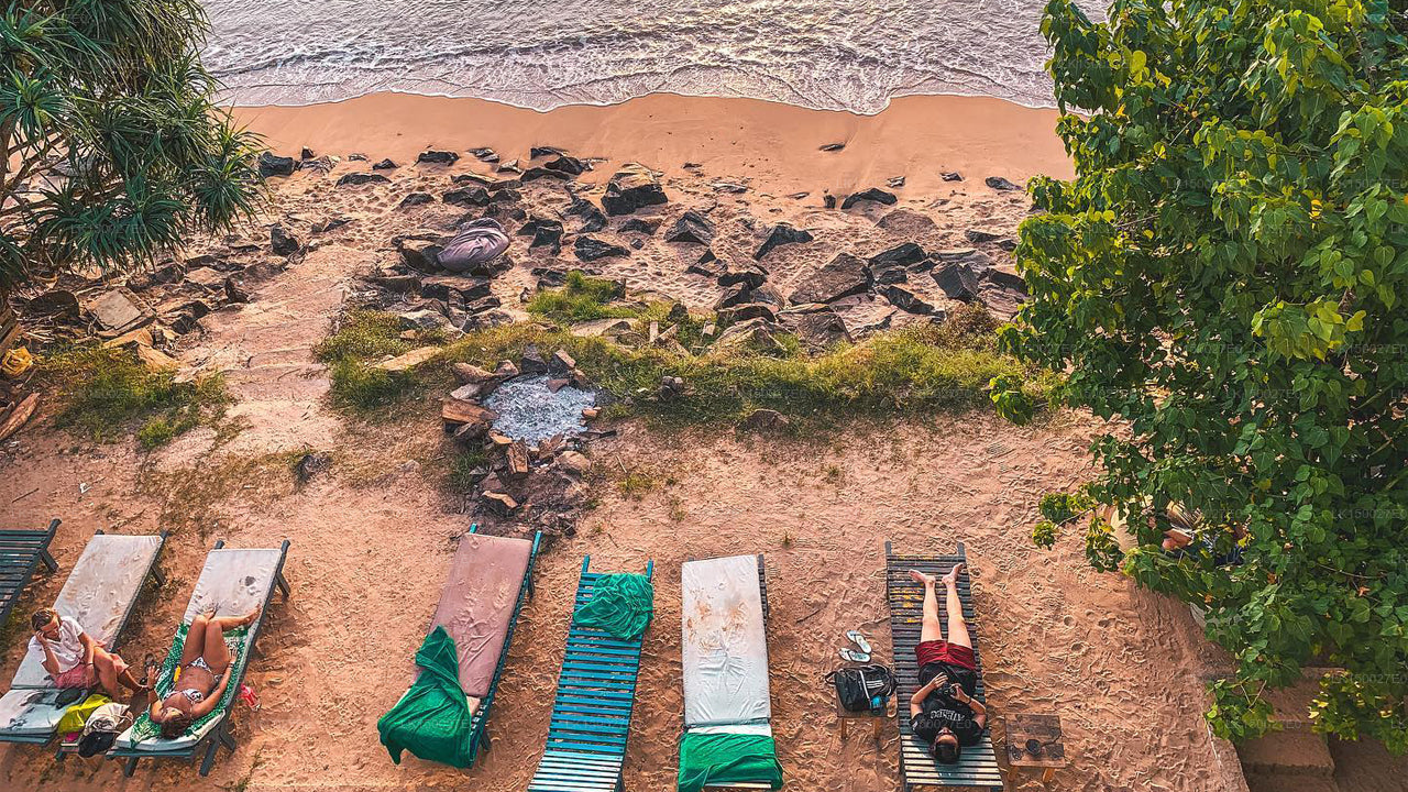 Satori Beach Hostel, Mirissa