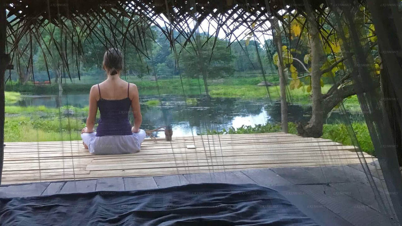 Ulpotha Yoga & Ayurveda Retreat, Embogama