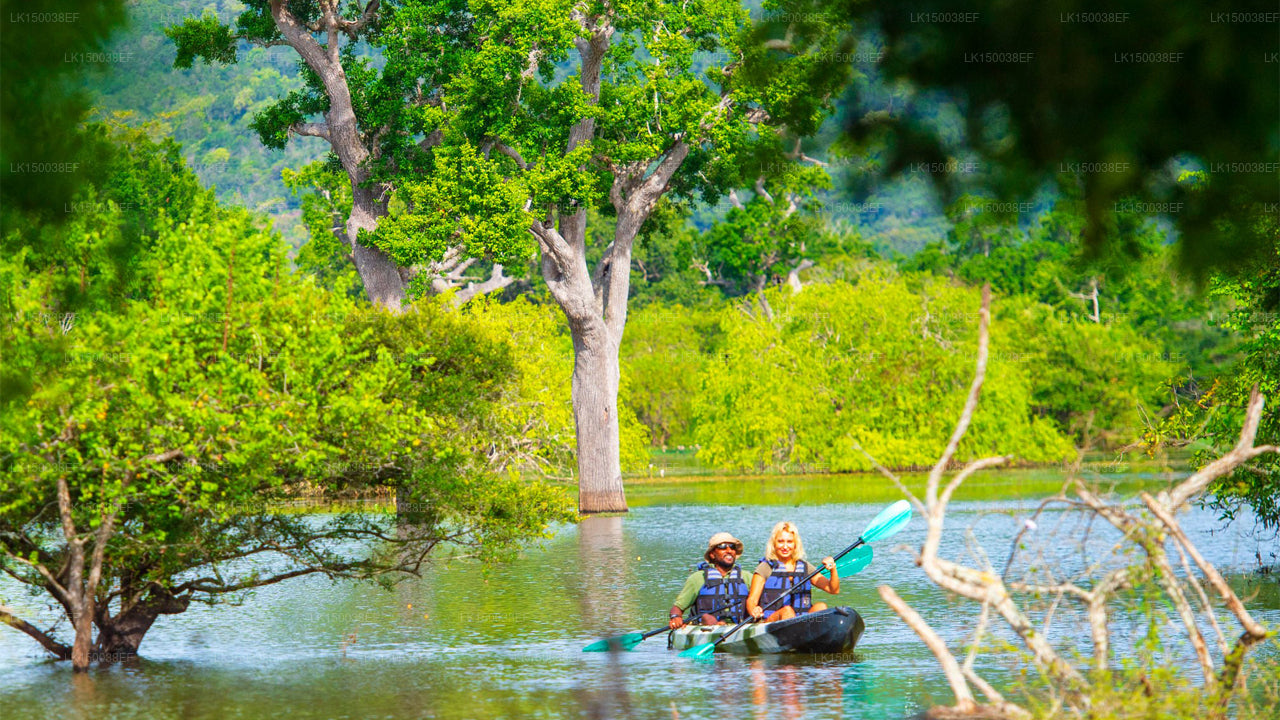 Kulu Safaris，Yala