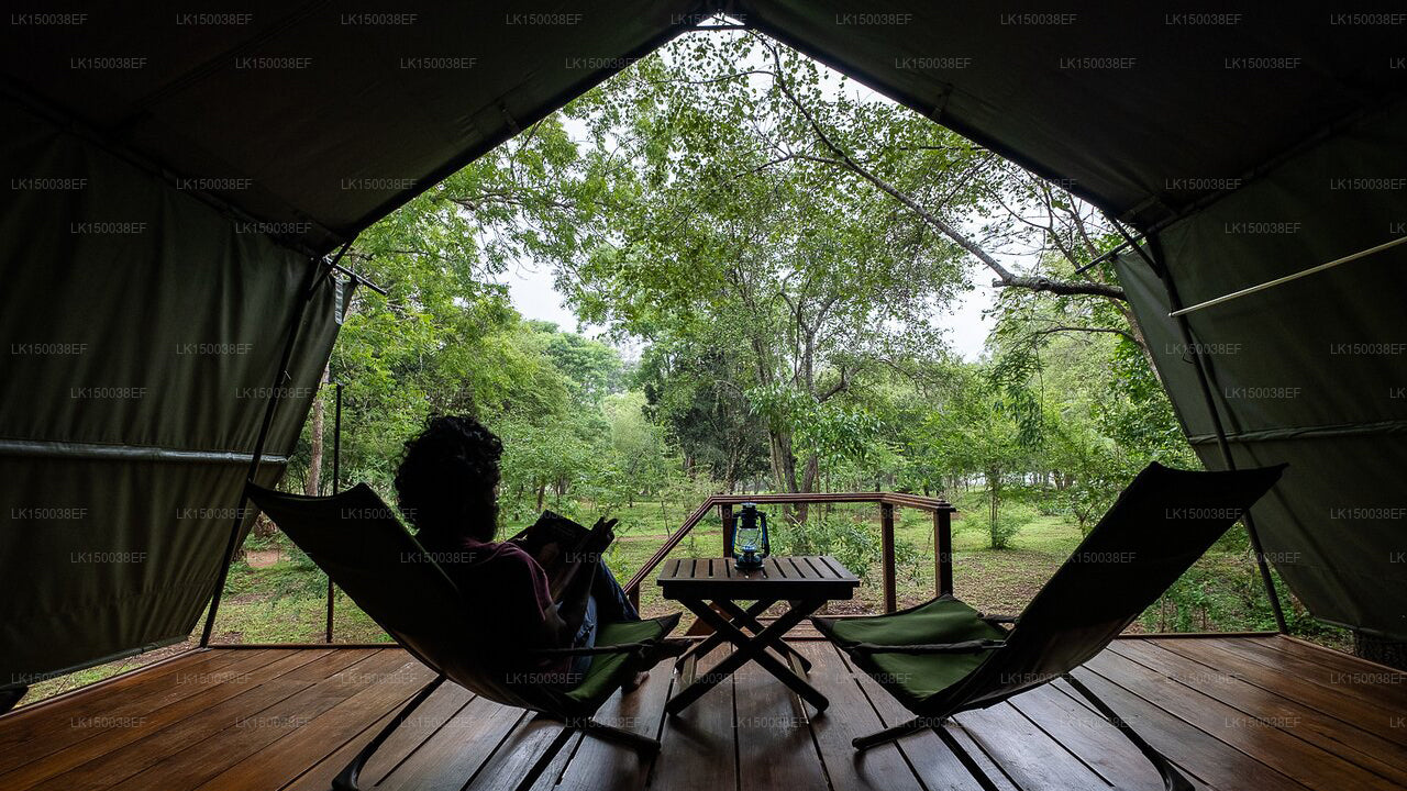 Kulu Safaris，Yala