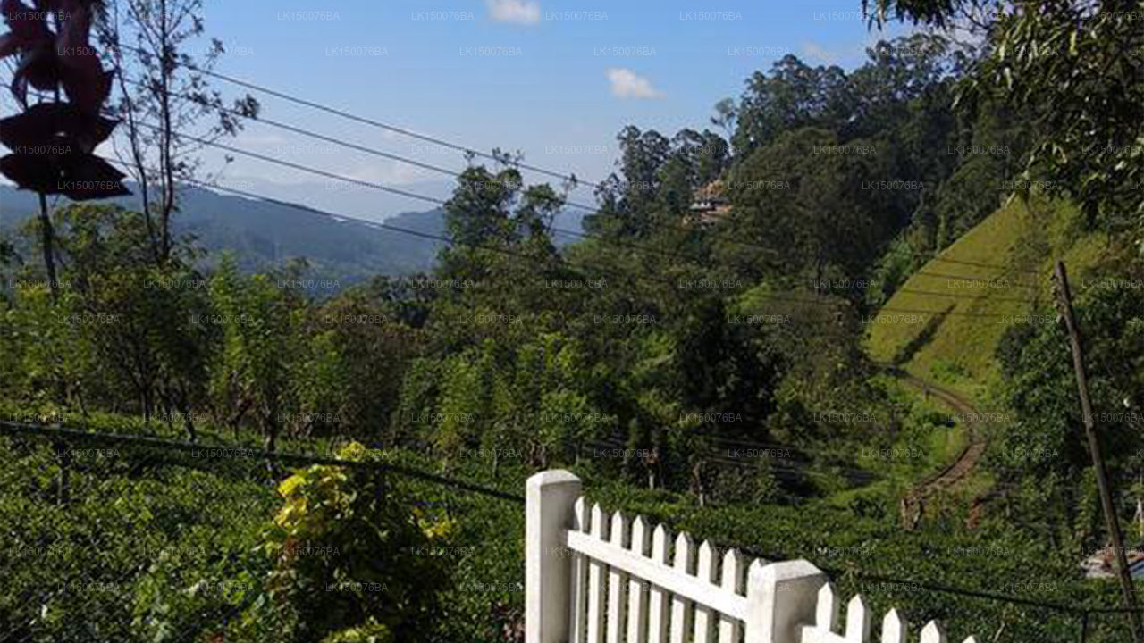 Holiday Bungalow , Bandarawela