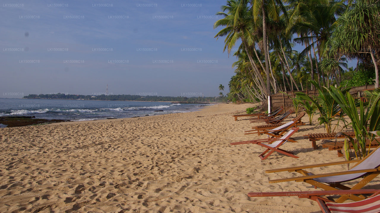 Patini Bungalows, Tangalle