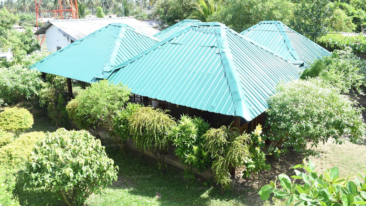 Nilaveli Palm House, Nilaveli