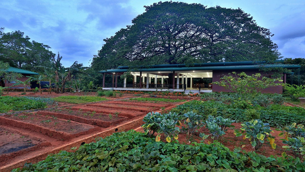 Governor's Grand, Dambulla