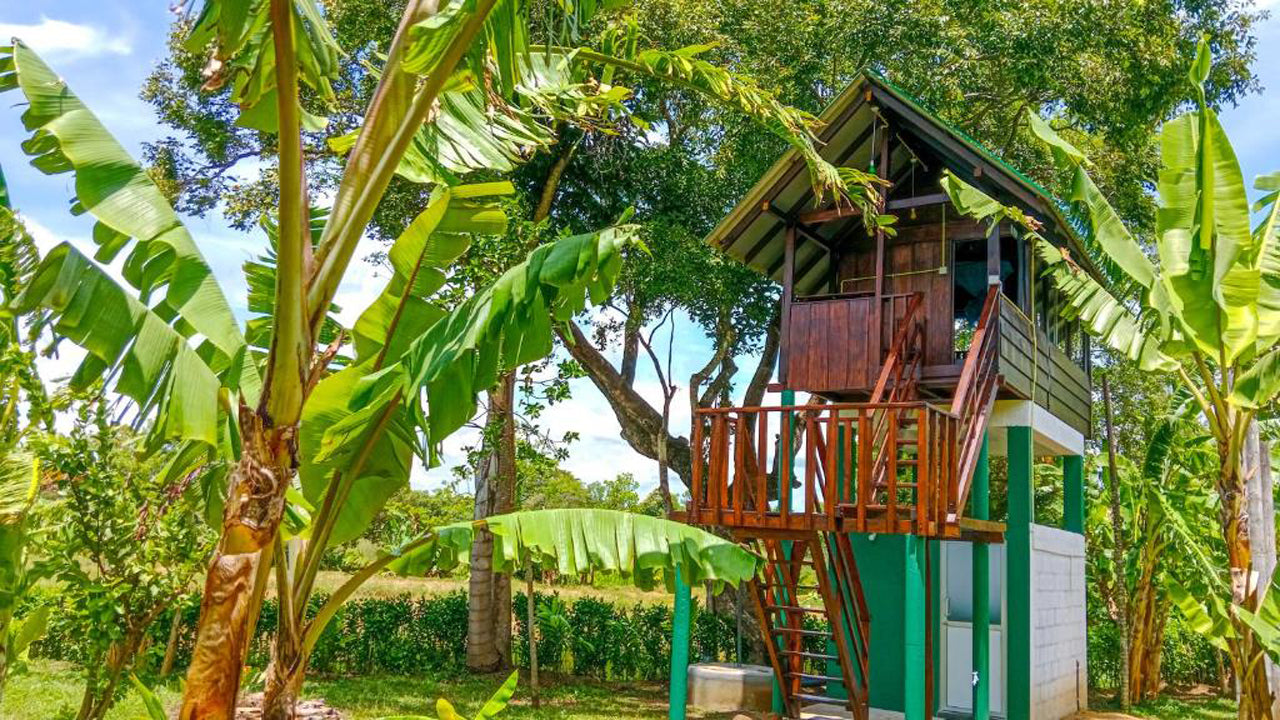 Pride Rock Villa & Tree House, Sigiriya