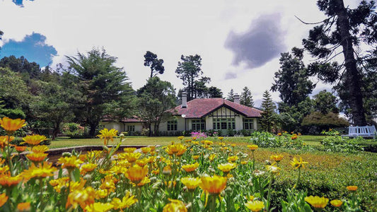 Anilana Craigbank, Nuwara Eliya