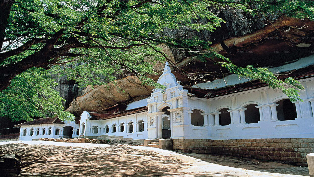 来自 Kitulgala 的 Sigiriya 和 Dambulla