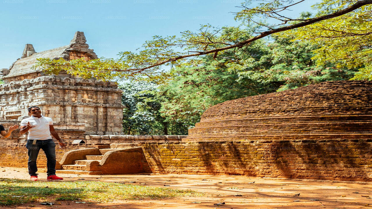 来自 Kitulgala 的 Sigiriya 和 Dambulla