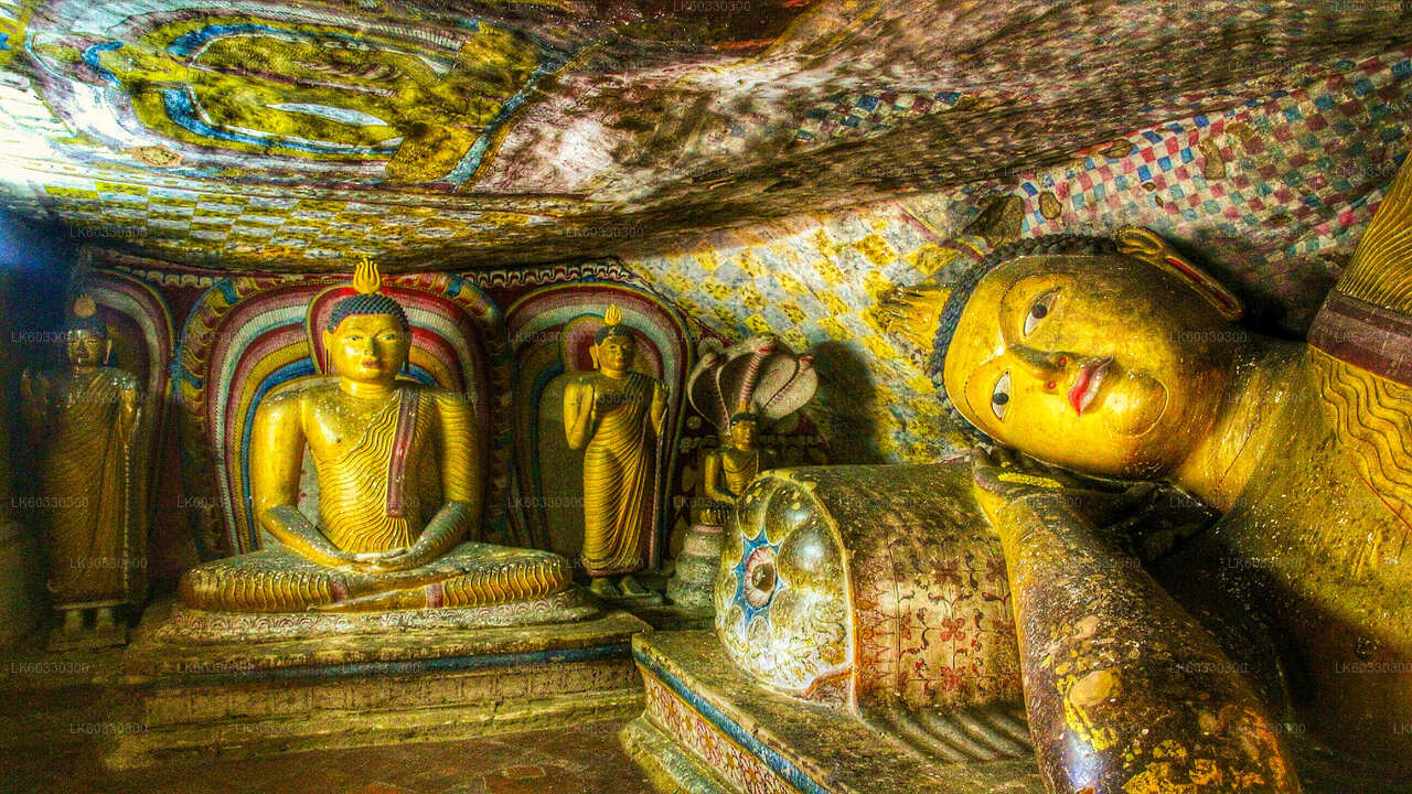 来自 Kitulgala 的 Sigiriya 和 Dambulla