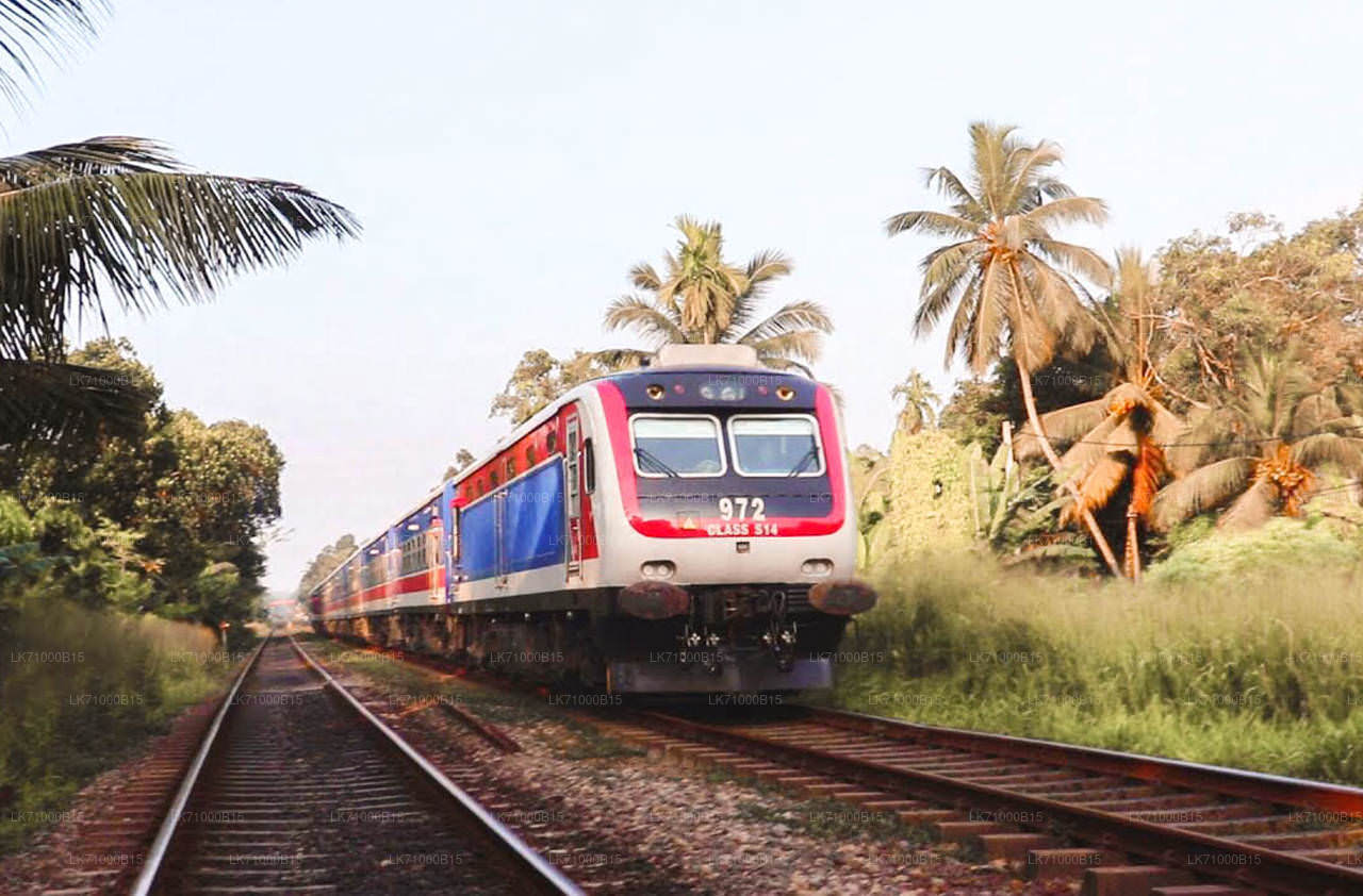 Badulla to Peradeniya train ride on (Train No: 1002 "Denuwara Menike")