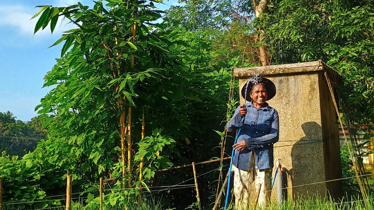 在 Midigama 水果农场探索生物多样性