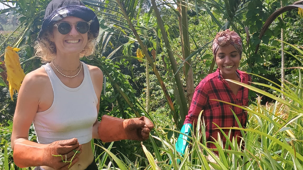 在 Midigama 水果农场探索生物多样性