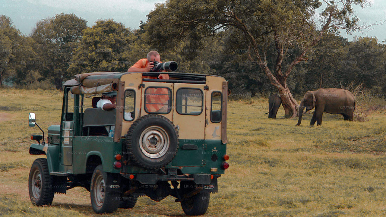 Sigiriya Rock and Wild Elephant Safari from Colombo