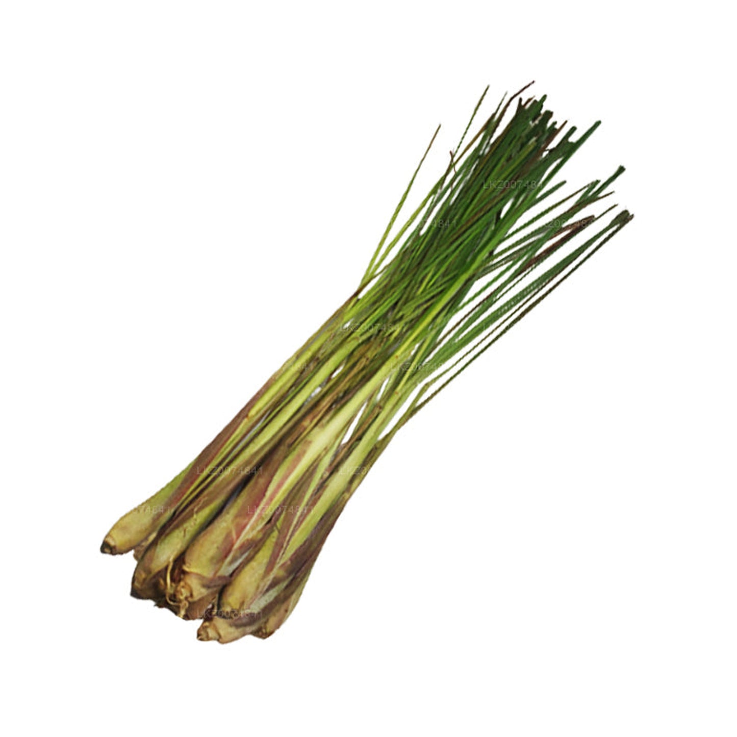 Fresh Lemongrass (柠檬草) 100g