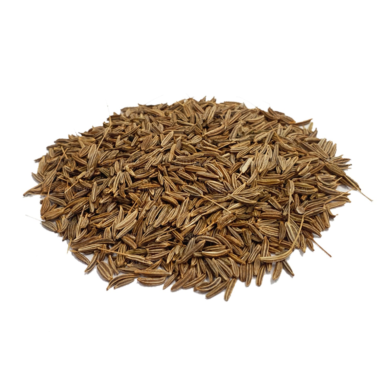 Lakpura Fennel Seeds Whole