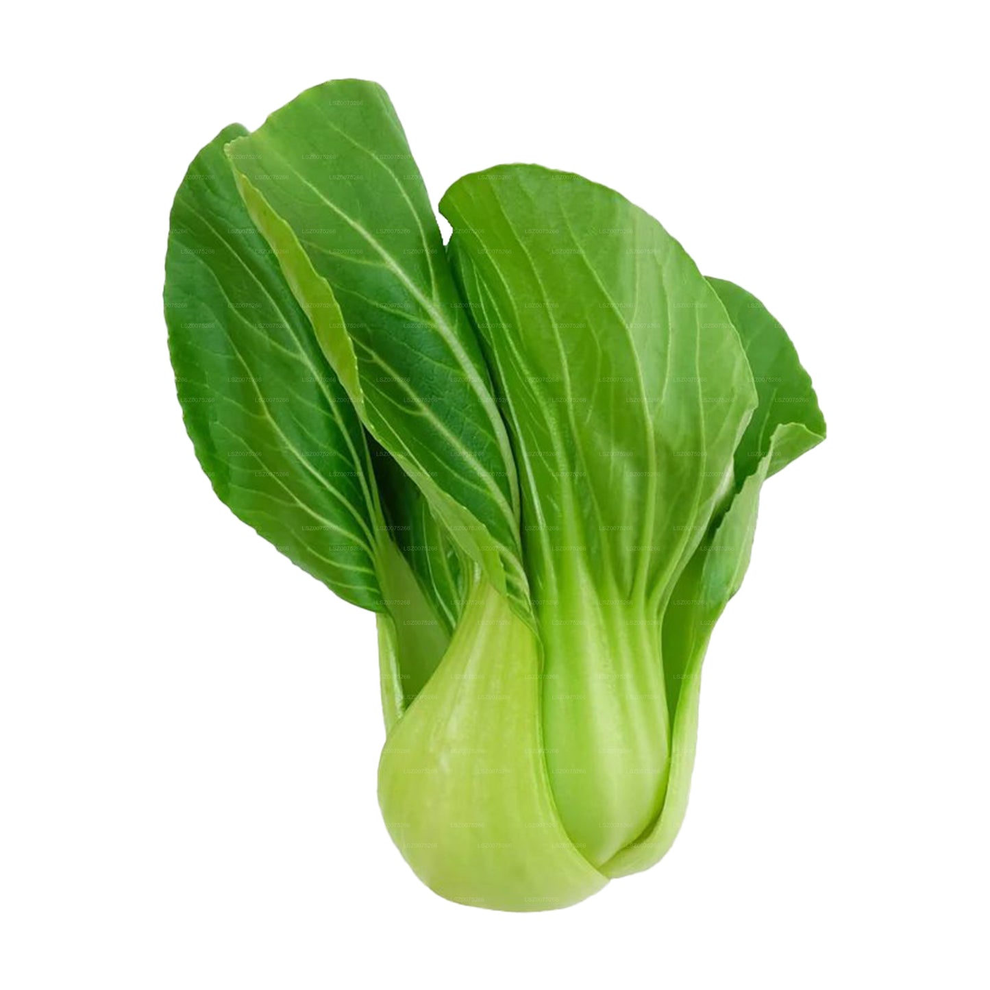 Pak Choi (250g)