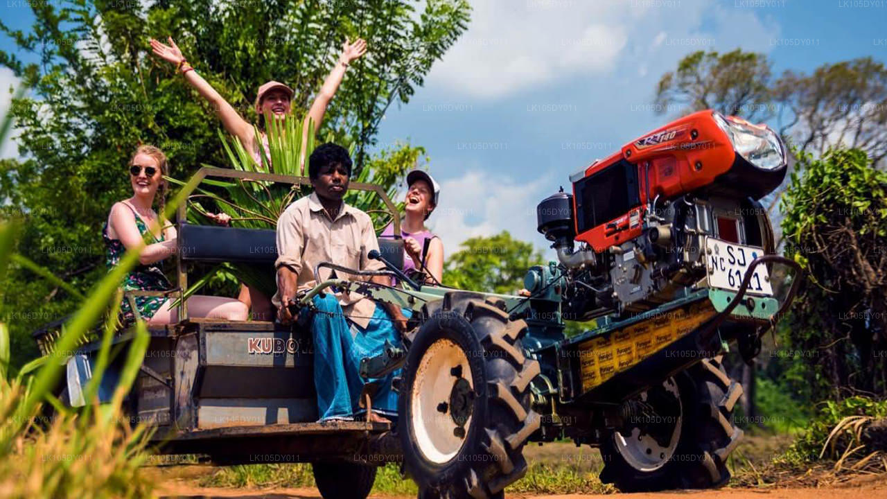 斯里兰卡农业之旅（6 天）