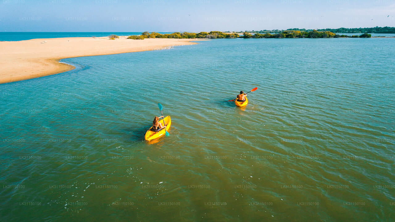 Kayaking from Kalpitiya Lagoon