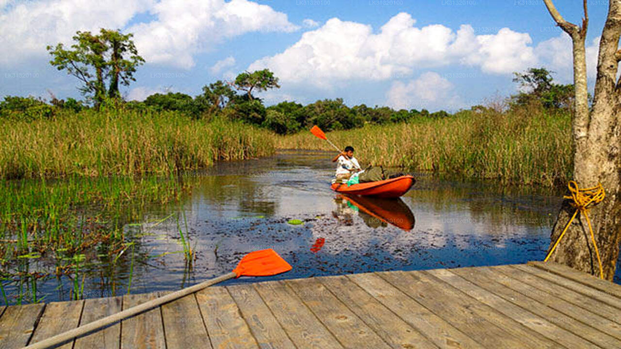 Kayaking from Habarana