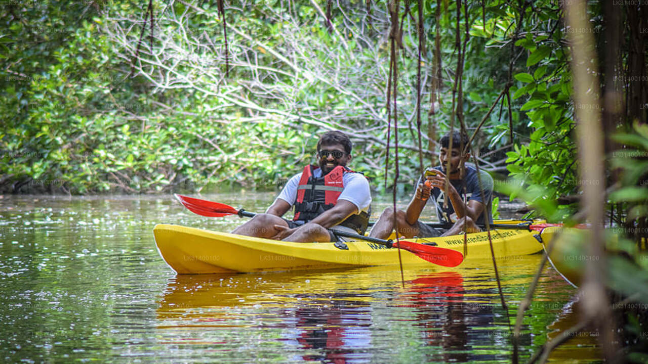 Kayaking from Ahungalla