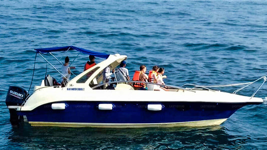 Whale Watching Boat Tour from Koggala