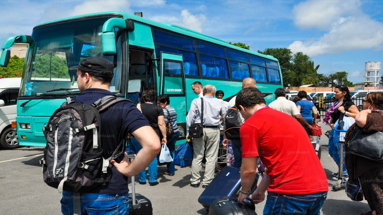 Mattala Airport (HRI) to Kataragama City Private Transfer