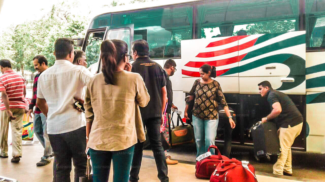 Transfer between Colombo Airport (CMB) and Cadjan sacred, Anuradhapura