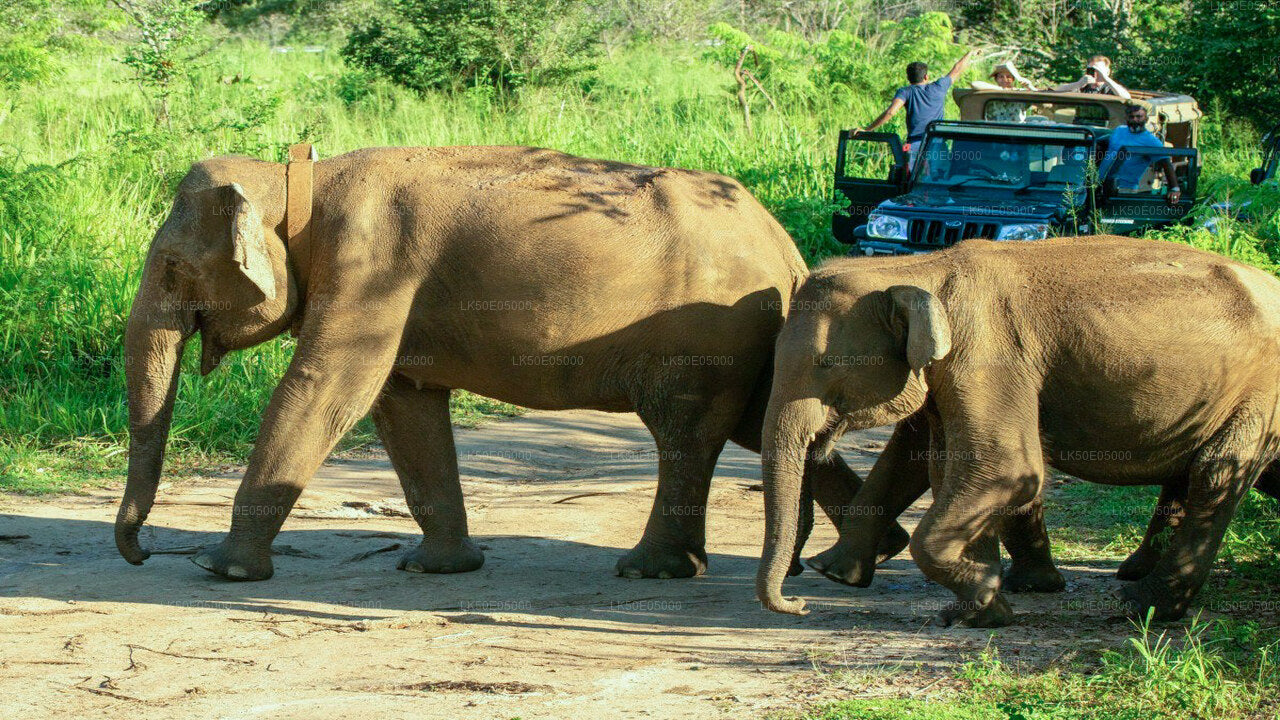 Hurulu Eco Park Private Safari from Sigiriya