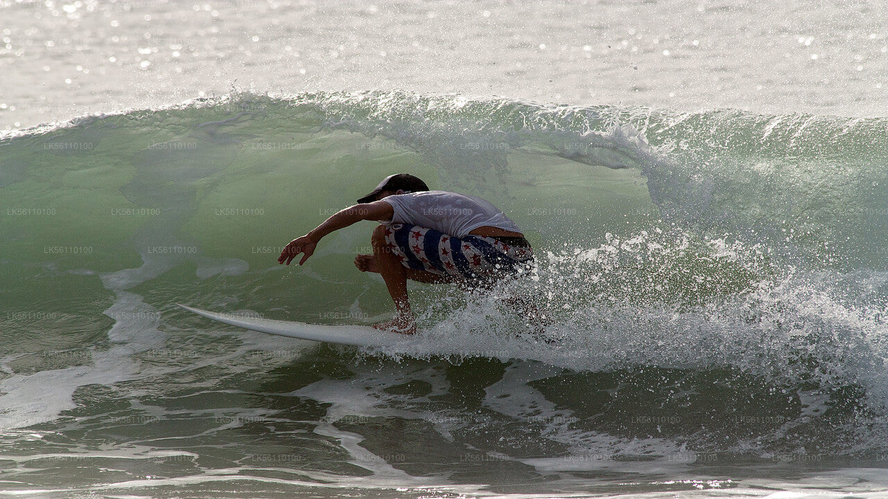 Surfing from Hikkaduwa