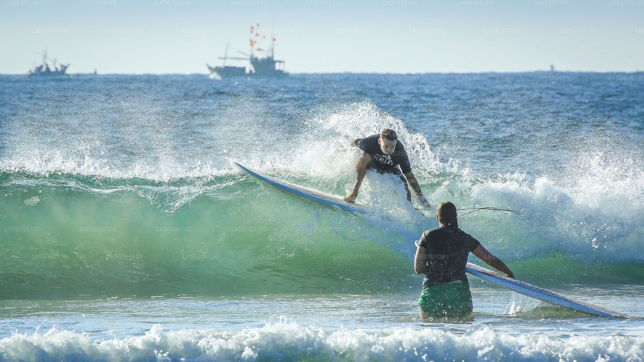 Surfing from Weligama