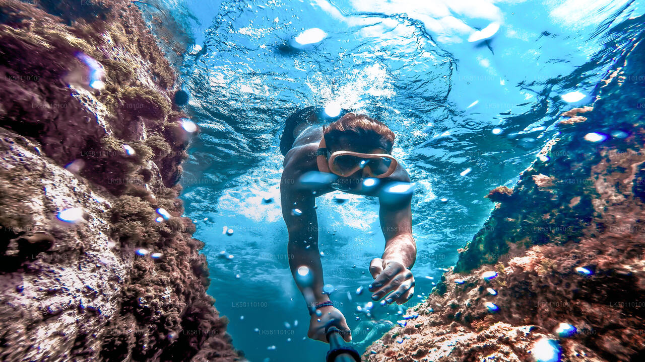 Snorkeling from Hikkaduwa