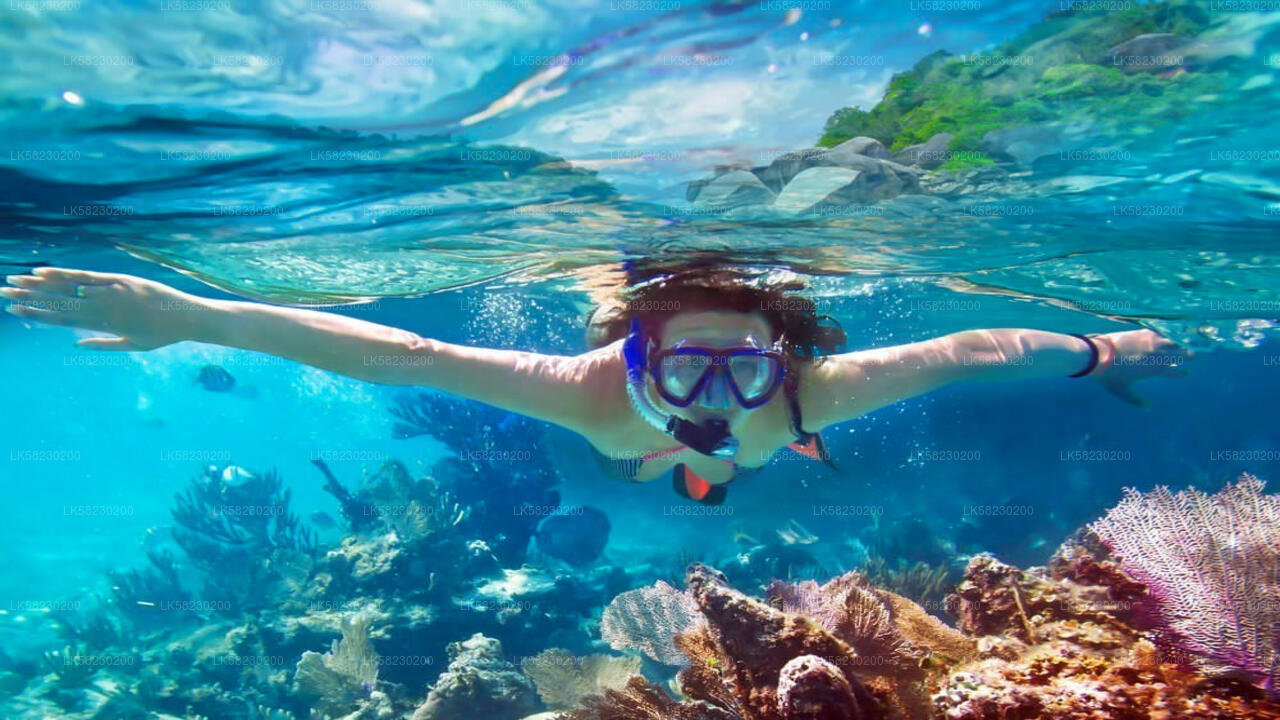 Snorkeling at Coral Island from Trincomalee