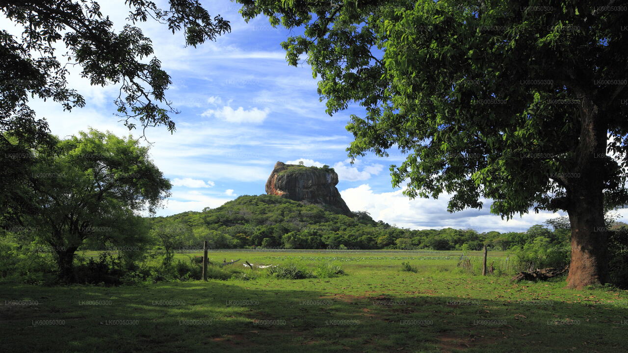 Sigiriya Village Tour from Negombo