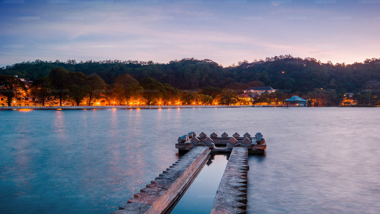 Kandy City Tour from Beruwala