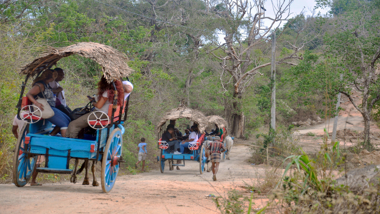 Sigiriya Village Tour and Lunch from Dambulla