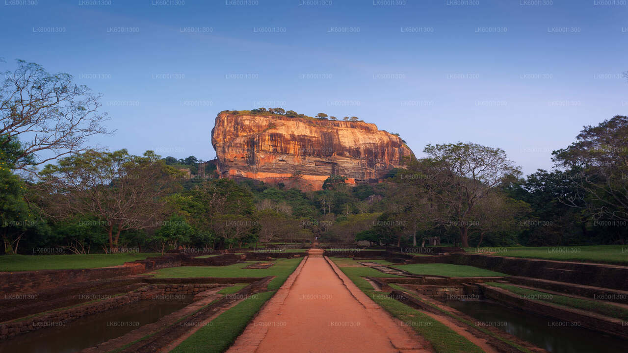 Sigiriya Village Tour and Lunch from Dambulla