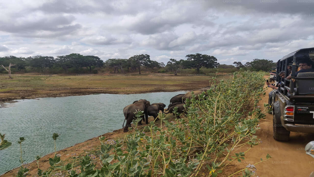 Yala National Park Safari from Ella