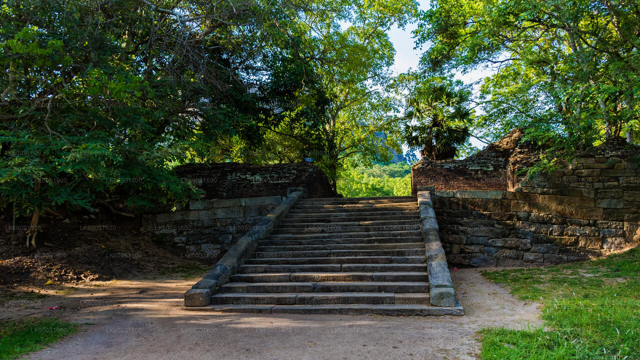 Yapahuwa Ancient Kingdom from Habarana