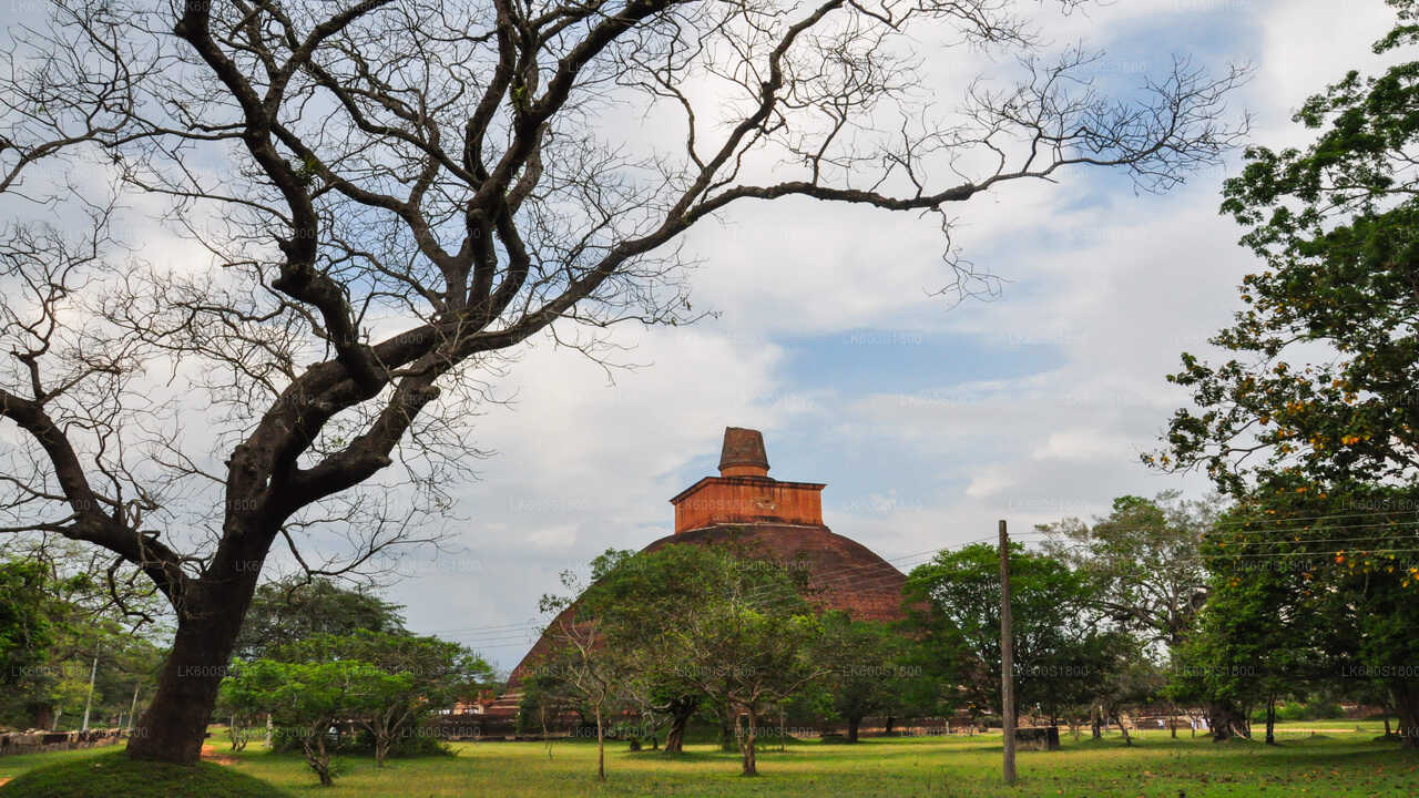 Anuradhapura Buddhist Icons Tour from Habarana