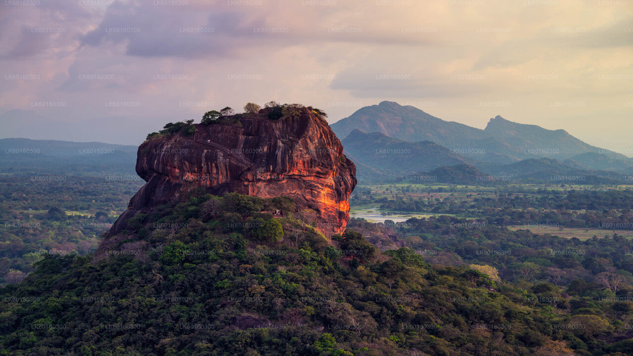 来自卡卢特勒的 Sigiriya Rock 和 Dambulla Cave