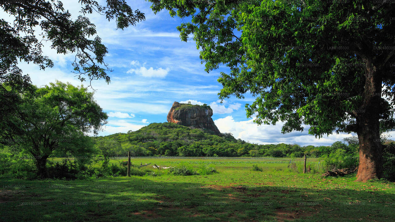 来自卡卢特勒的 Sigiriya Rock 和 Dambulla Cave