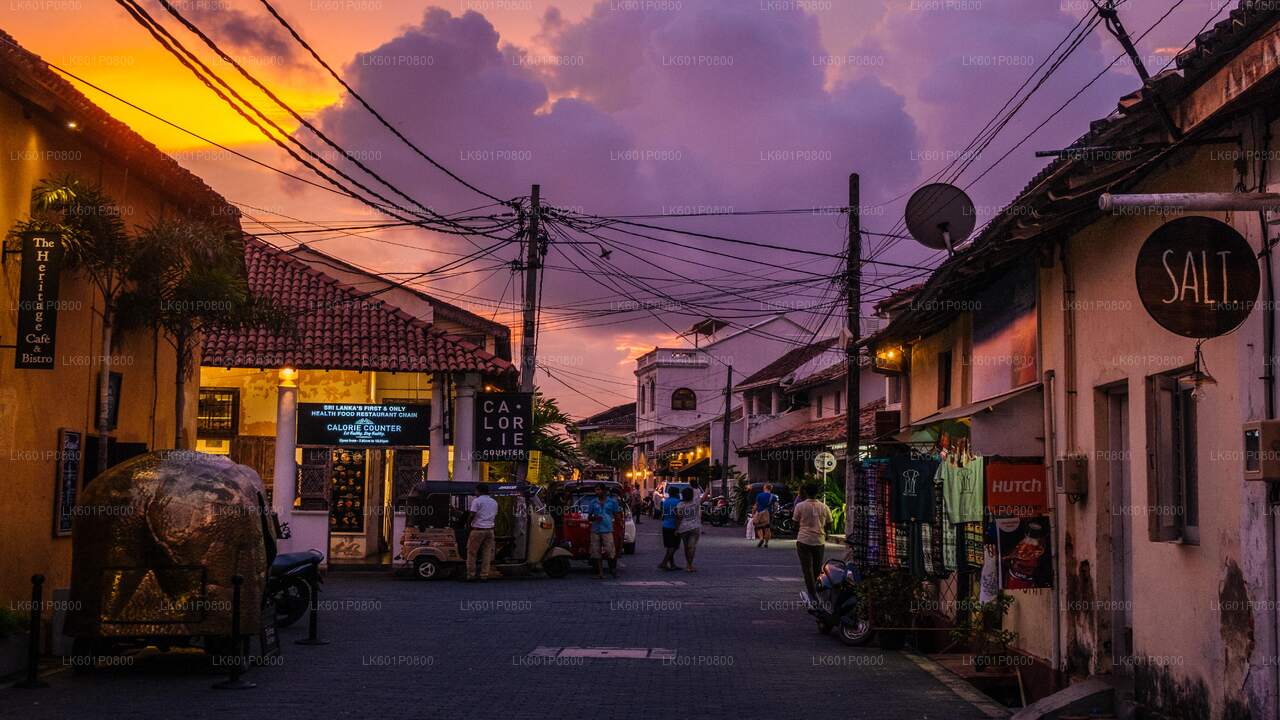 Southern Coast Highlights from Negombo