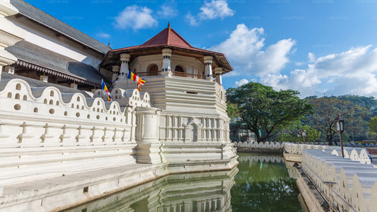 Kandy City Tour from Negombo