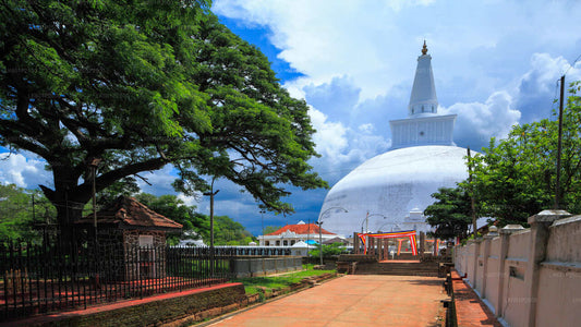Sacred City of Anuradhapura from Negombo