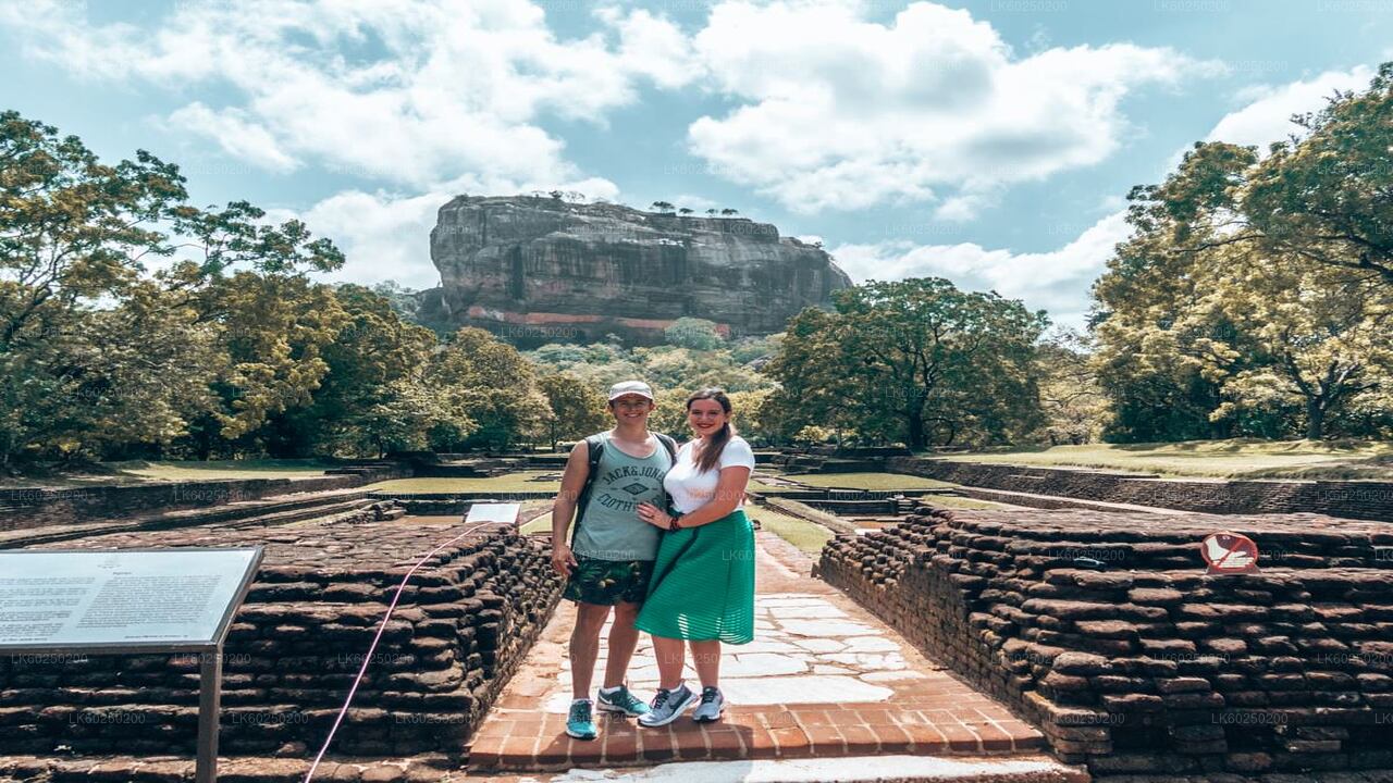 Sigiriya Rock and Wild Elephant Safari from Pasikuda