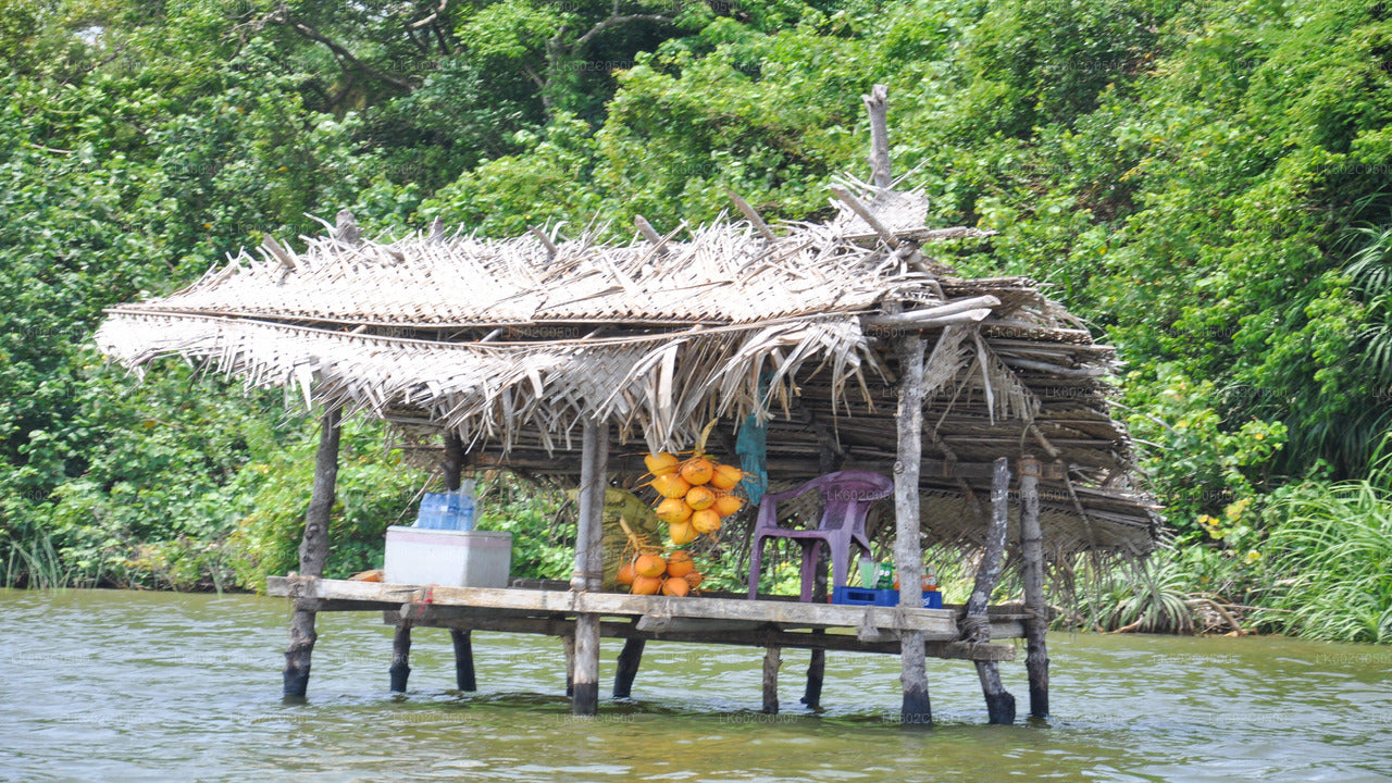 Bentota City Tour from Weligama